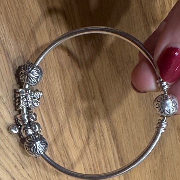 Sterling Silver Pandora Charm Bracelet - Picture 4 of 4